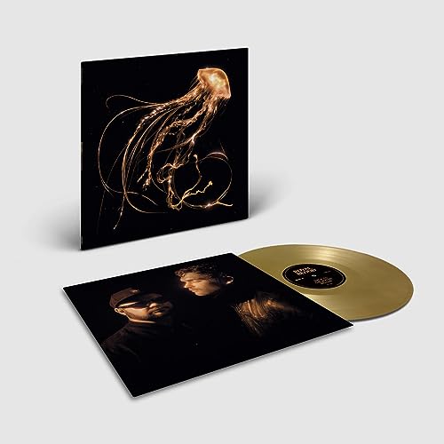 Royal Blood: Back To The Water Below (Amazon Exclusive Gold Vinyl)